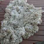 North Country Cheviot Wool