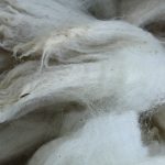 North Country Cheviot Fleece